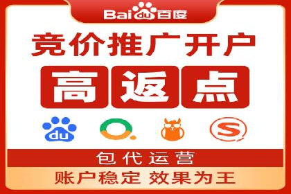 百度竞价排名策略优化：某公司广告投放效果翻倍的秘诀